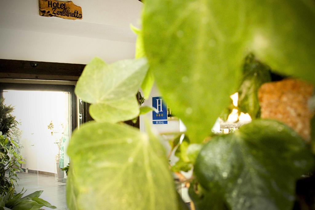 泽滨纳达酒店 迪拉尔 外观 照片